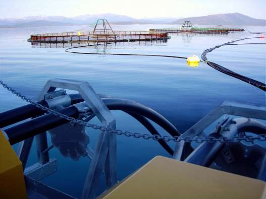 photo of two fish farming nets and platforms