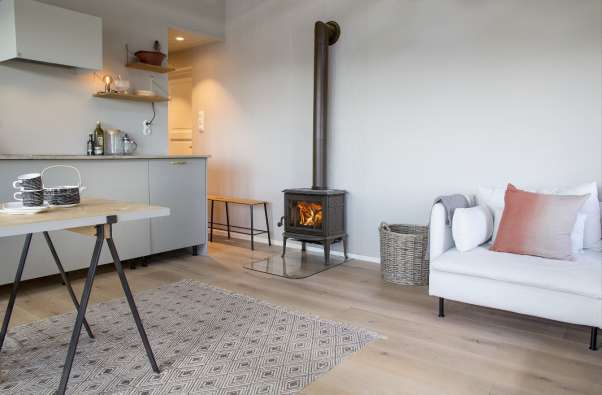 photo of a modern oslo living room with an antique fireplace stove