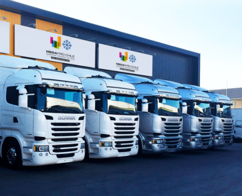 lineup of white megafrio distribution trucks at the megafrio warehouse