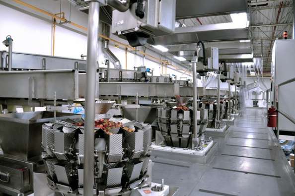 inside of the mount franklin foods production facility
