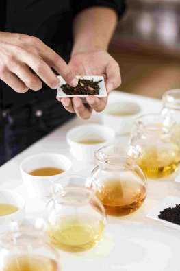 Palais des Thés tea tasting