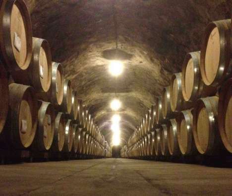 photo of the inside of a dark wine cellar