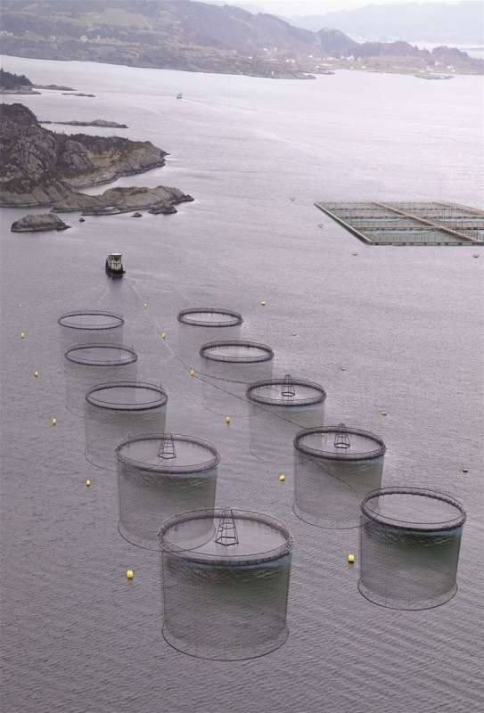 aerial photo of a fish farming operation with nets set up in the water