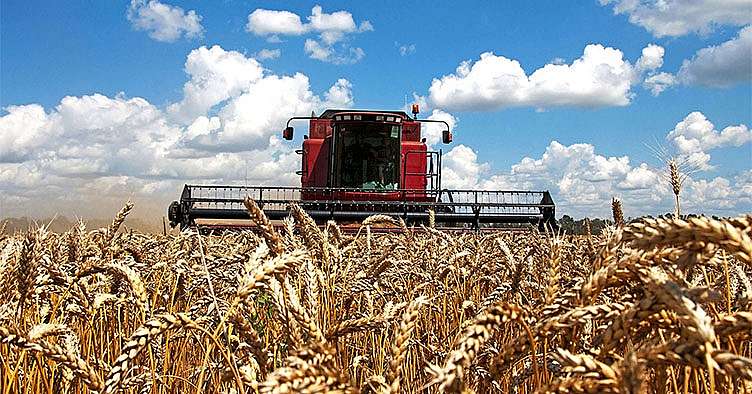 photo of a tractor cutting through bushells of wheat on a farm