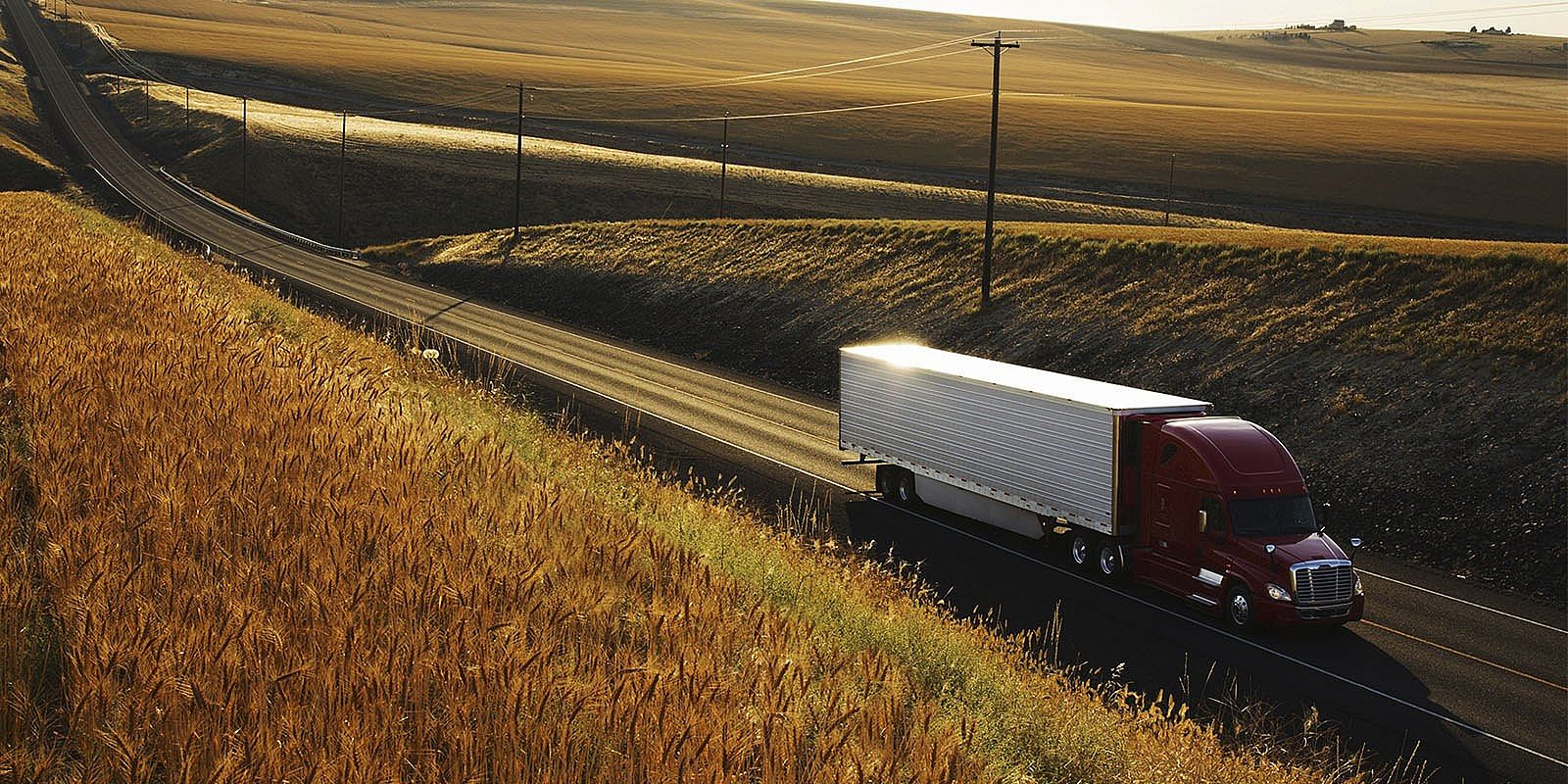 ガートナー社のmescbnのmqで3回連続でリーダーの１社に プレスリリース インフォア