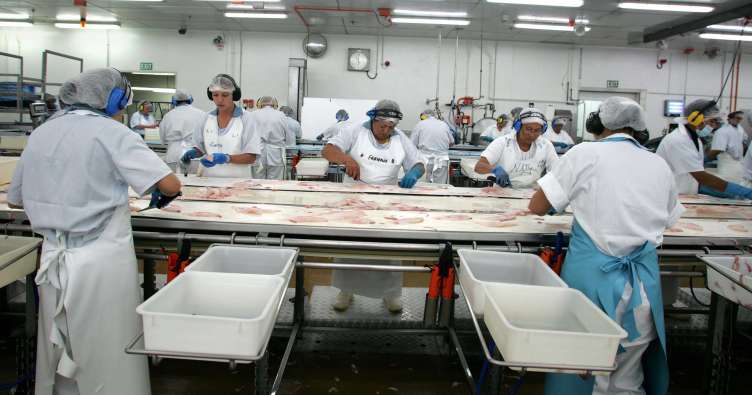food processing workers scaling fish in a facility