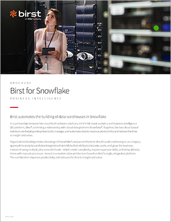 Th Birst for Snowflake Brochure English 457px