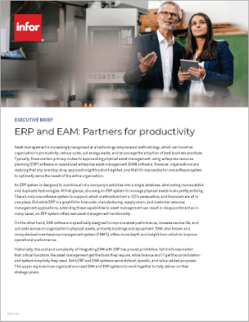 Th ERP and EAM Partners for productivity Executive Brief English 457px