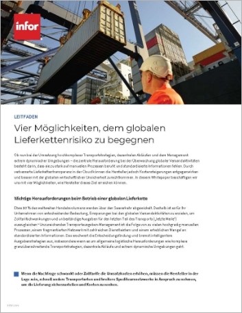 Th Four ways to counter global supply chain risk How to Guide German 457px