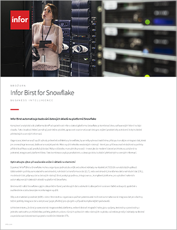 Th Infor Birst for Snowflake Brochure Czech 457px