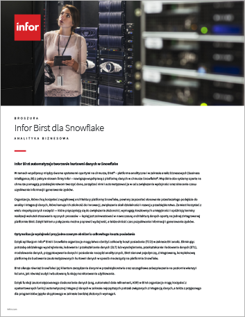 Th Infor Birst for Snowflake Brochure Polish 457px