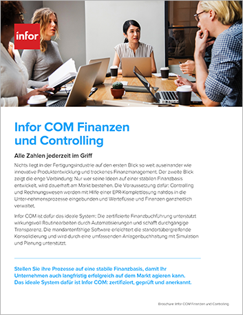 Th Infor COM Finanzen und Controlling Brochure German 457px
