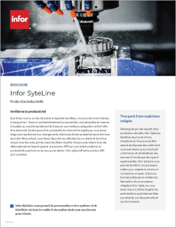 Th Infor Syte Line Brochure French France 457px