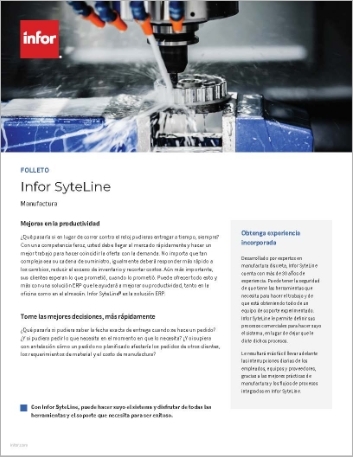 Th Infor Syte Line Brochure Spanish LA 457px
