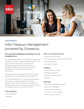 Th Infor Treasury Management powered by G Treasury Data Sheet Dutch 457px