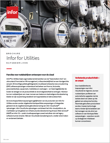 Th Infor for Utilities Brochure Dutch 457px