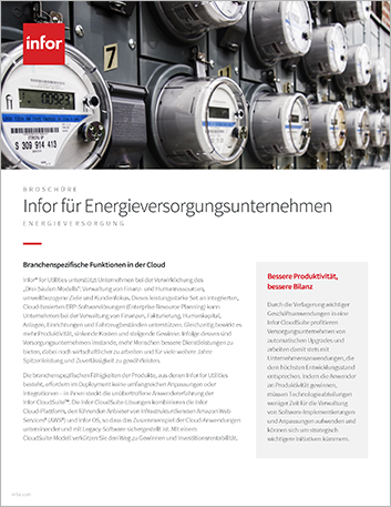 Th Infor for Utilities Brochure German 457px