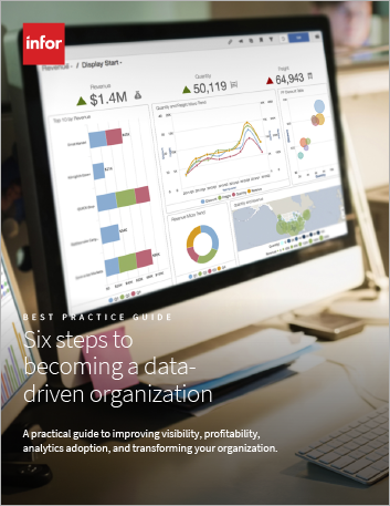 Th Six steps to becoming a data driven organization Best Practice Guide English 457px