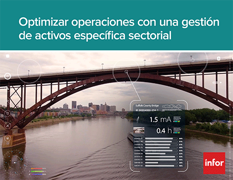 Th eam ebooks gestion de activos específica sectorial para optimizar operaciones