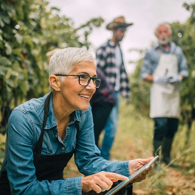 Three farm workers using supply chain planning software on a tablet device to optimize crop yield and provide better forecasts.