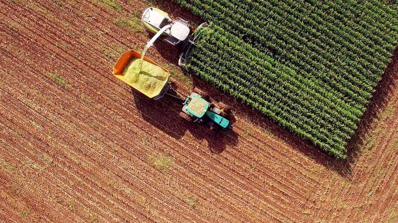 SCM software food & beverage producers use to optimize processes and seasonality and achieve supply chain transparency.