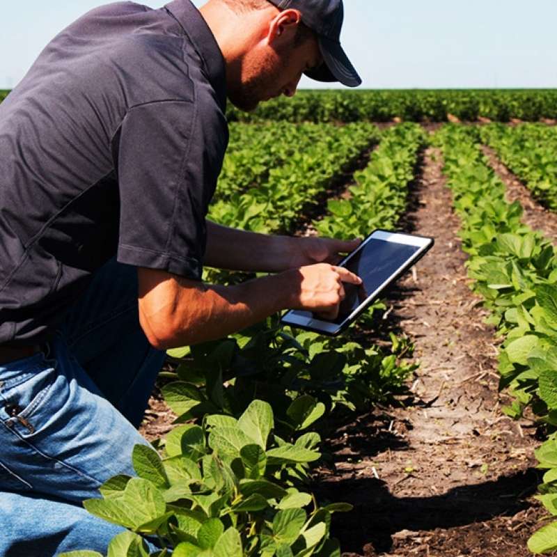Farm worker with cloud-based ERP for food and beverage gets enterprise-wide visibility and supply chain transparency.