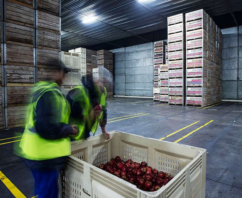Reduce waste and minimize food safety risks with Industry 4.0 technologies that enables modern asset maintenance.